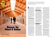 Quarter Horse Journal 08/2025 – Bild 4