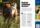 Quarter Horse Journal 08/2025 – Bild 3