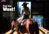 Quarter Horse Journal 09/2025 – Bild 5