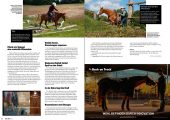 Quarter Horse Journal 09/2025 – Bild 3