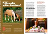 Quarter Horse Journal 09/2025 – Bild 2