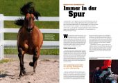 Quarter Horse Journal 10/2025 – Bild 4