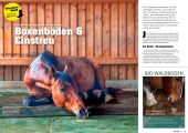 Quarter Horse Journal 10/2025 – Bild 5
