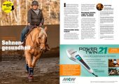 Quarter Horse Journal 11/2025 – Bild 5