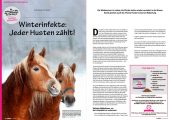 PFERDE fit & vital 02/2025 – Bild 6