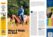 Quarter Horse Journal 11/2025 – Bild 7