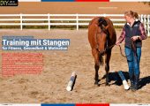 PFERDE fit & vital 02/2025 – Bild 8