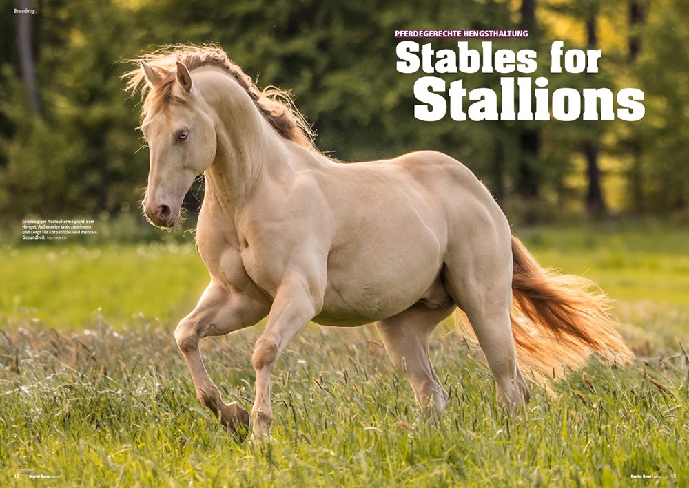 Quarter Horse Journal 01/2026 – Bild 3