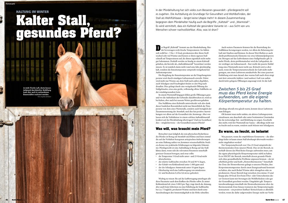 Quarter Horse Journal 01/2026 – Bild 5