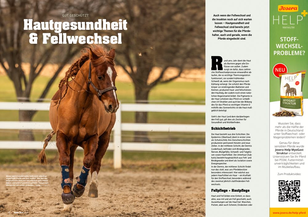 Quarter Horse Journal 02/2026 – Bild 3