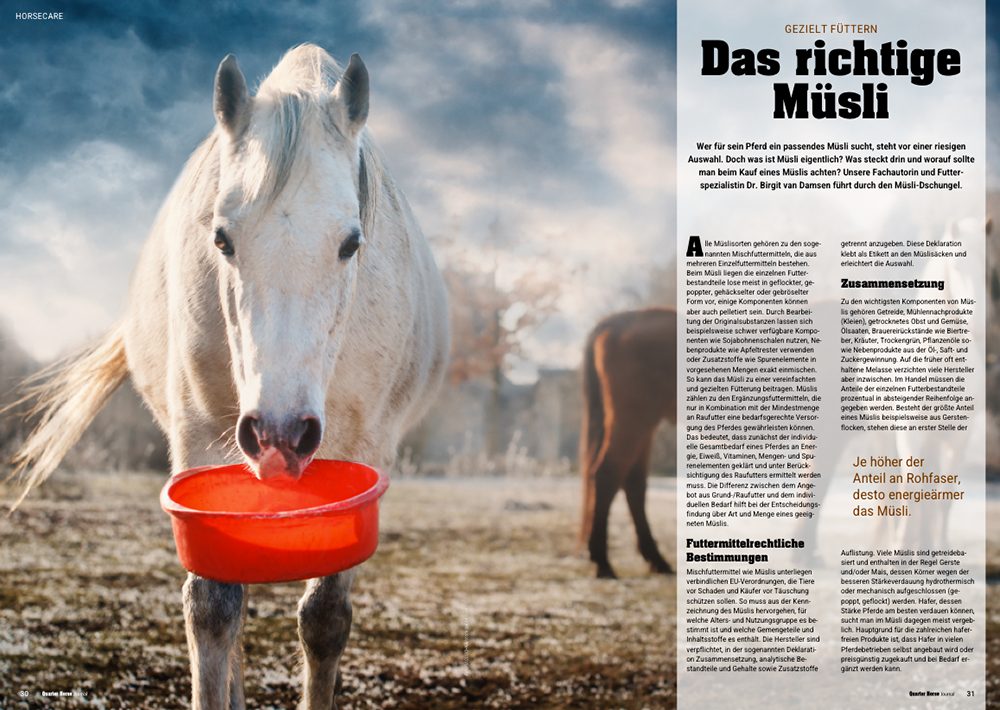 Quarter Horse Journal 02/2026 – Bild 5