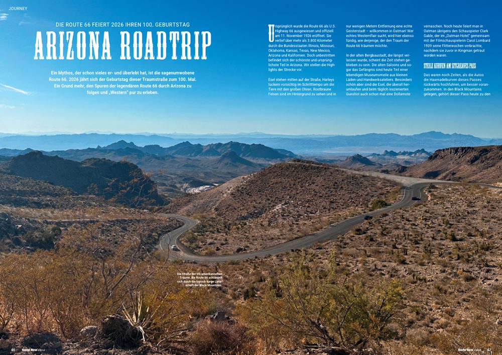 Quarter Horse Journal 02/2026 – Bild 6