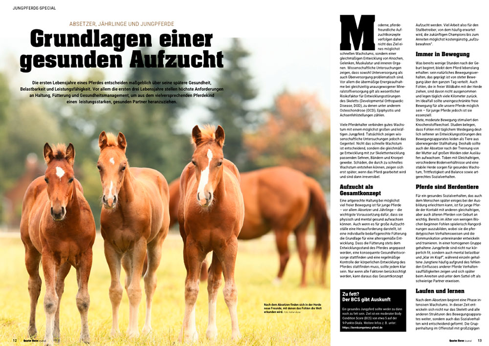 Quarter Horse Journal 09/2026 – Bild 5