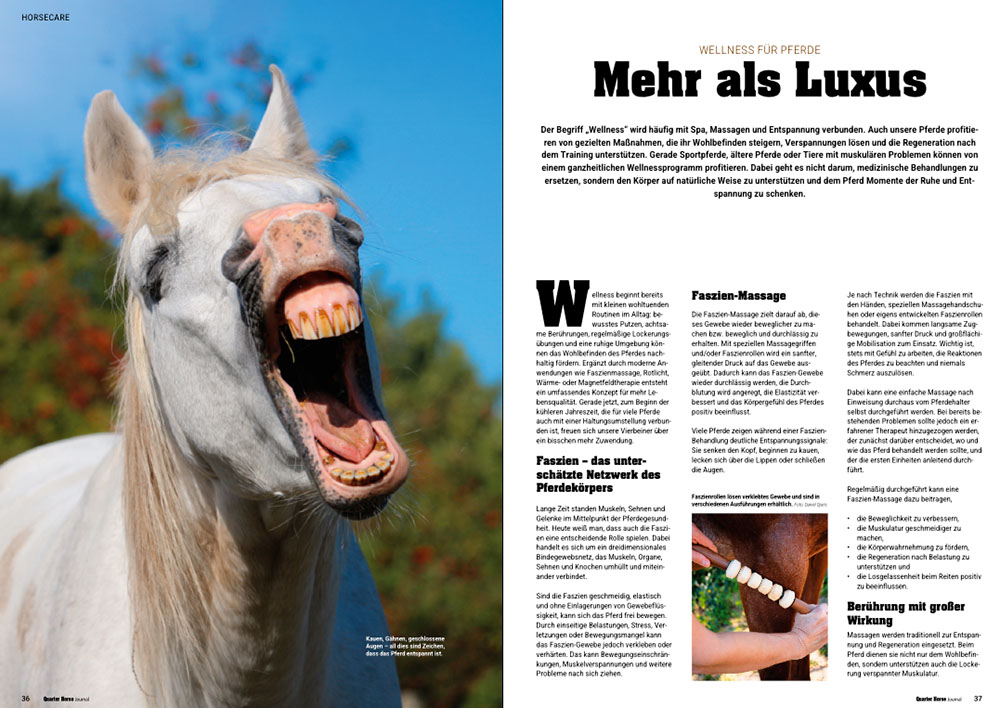 Quarter Horse Journal 09/2026 – Bild 2