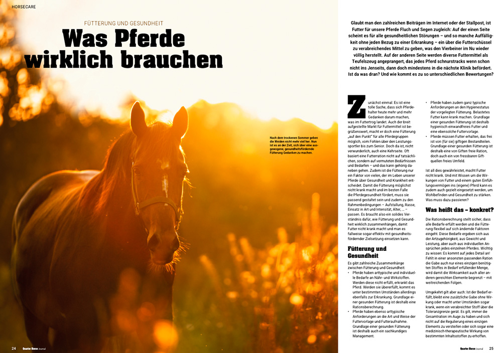 Quarter Horse Journal 10/2026 – Bild 3