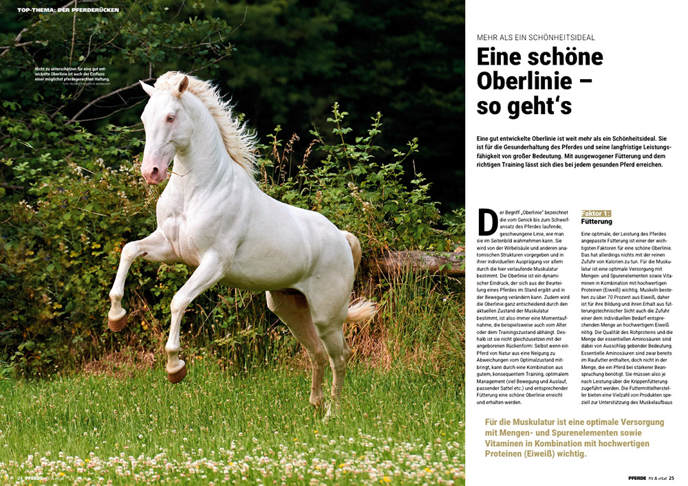 PFERDE fit & vital 02/2026 – Bild 5