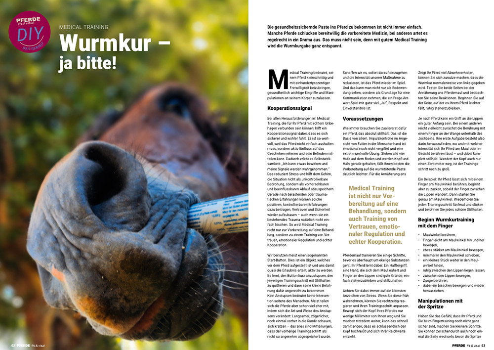 PFERDE fit & vital 02/2026 – Bild 9